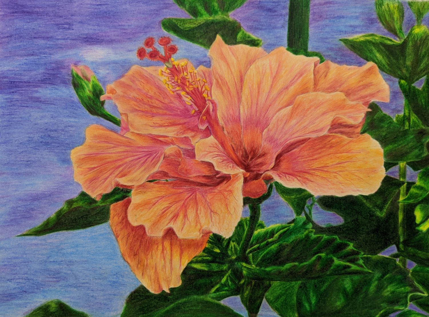Hibiscus Painting