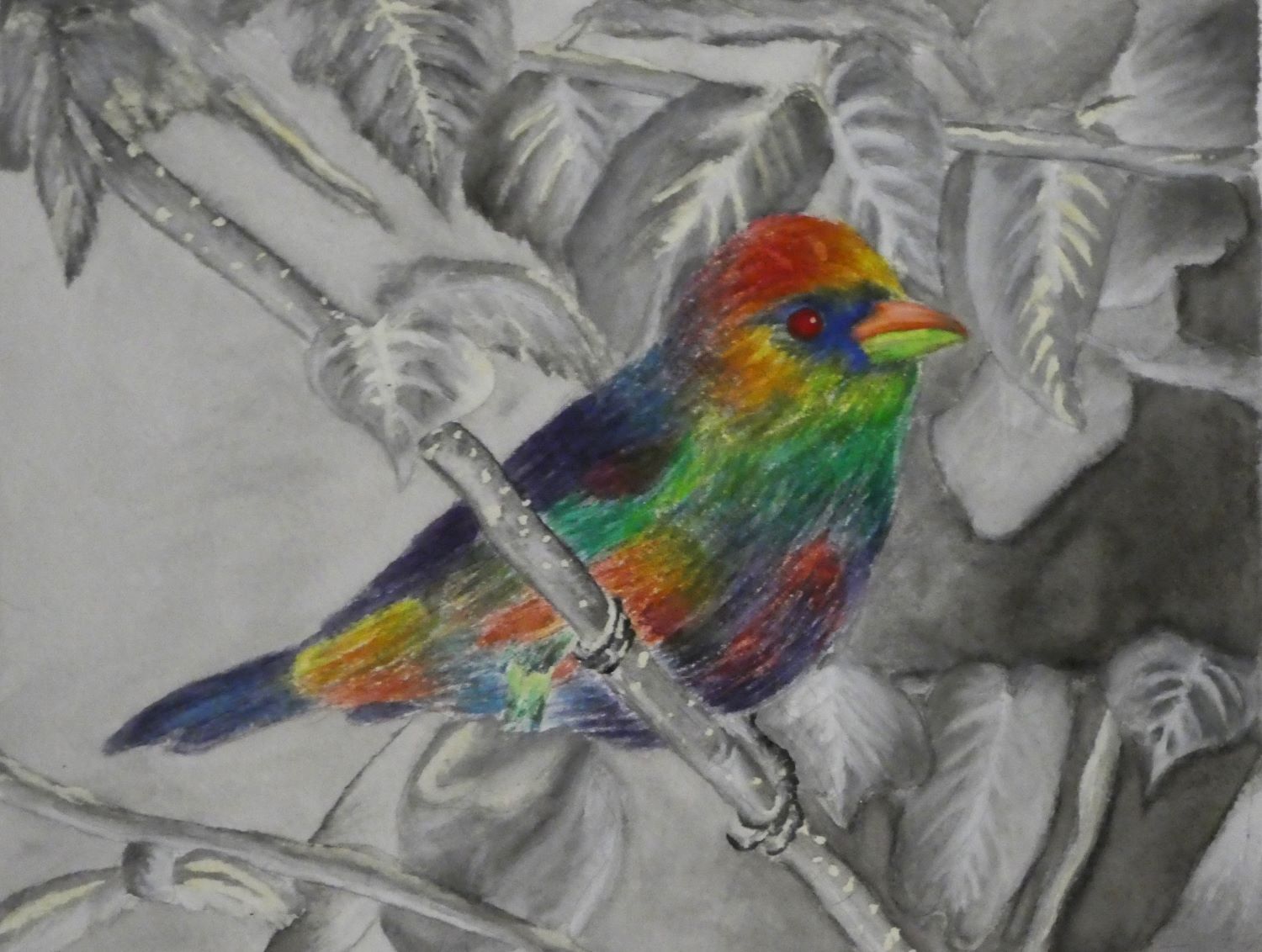 Rainbow Tanager Painting